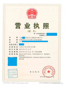 上海注冊(cè)非中介留學(xué)服務(wù)公司 類(lèi)別、經(jīng)營(yíng)范圍與票務(wù)代理指南
